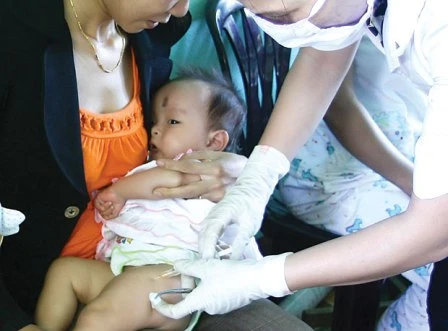 Hàn Quốc không xài Quinvaxem vì người ta giàu! ảnh 1