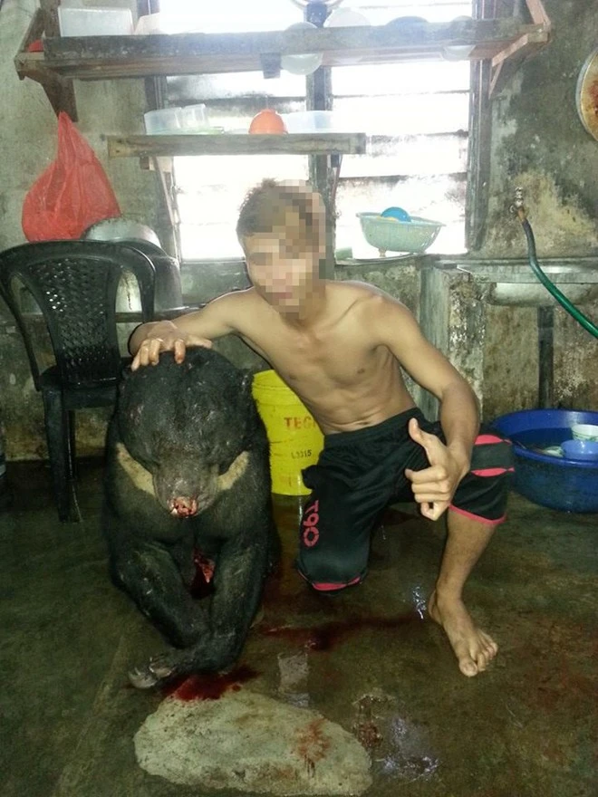 Nam thanh niên khoe ảnh giết gấu lên mạng ảnh 1