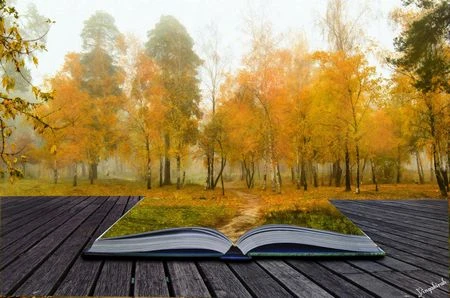 Bộ hình nền đẹp mắt mừng ngày Nhà giáo Việt Nam 20/11 ảnh 8