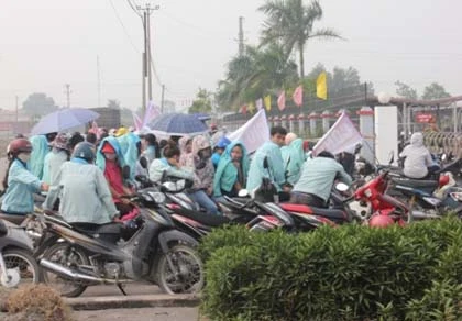 Ninh Bình: Không cho nằm nghỉ trưa, hàng trăm công nhân đình công ảnh 1