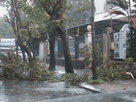 Những hình ảnh đầu tiên của cơn bão số 10 ảnh 4