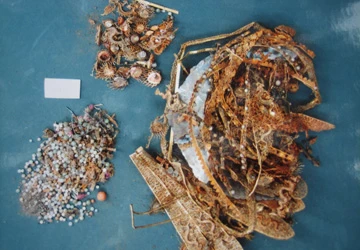 Người đánh thức những bảo vật ngủ quên ảnh 1 Người đánh thức những bảo vật ngủ quên ảnh 1