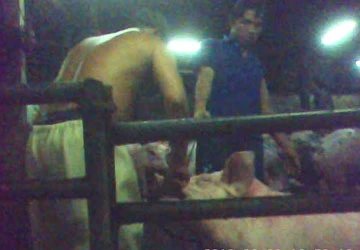 Phát hiện lò bơm nước heo tại Long An ảnh 1 Phát hiện lò bơm nước heo tại Long An ảnh 1