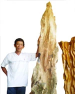 "Vua kỳ nam” xứ Nẫu ảnh 1 "Vua kỳ nam” xứ Nẫu ảnh 1