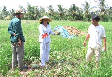 Nhận tiền bồi thường cũng bị… thuế thu nhập! ảnh 1 Nhận tiền bồi thường cũng bị… thuế thu nhập! ảnh 1