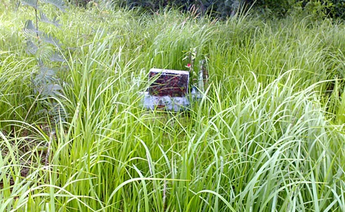 Từ biệt giam đến pháp trường - bài 1: Giờ hành hình đã điểm ảnh 2 Từ biệt giam đến pháp trường - bài 1: Giờ hành hình đã điểm ảnh 2