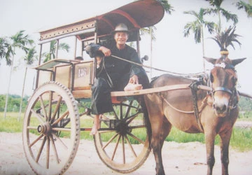 Người đóng xe thổ mộ cuối cùng ảnh 2