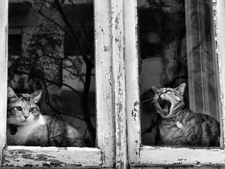 Vẻ đẹp xuất hiện ở bất cứ đâu trong cuộc sống. Ảnh: Rui Palha. Vẻ đẹp xuất hiện ở bất cứ đâu trong cuộc sống. Ảnh: Rui Palha.