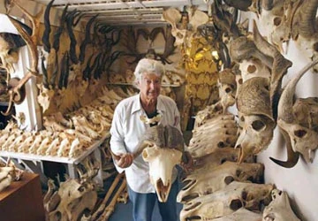 Bộ sưu tập xương khổng lồ ảnh 1