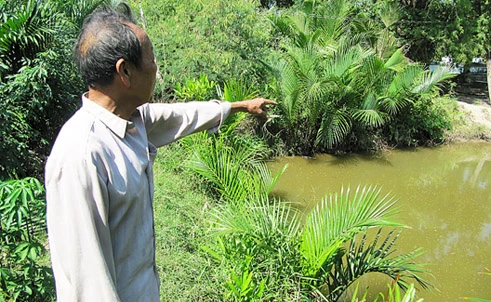 Quỷ dữ ở vườn dừa ảnh 1 Quỷ dữ ở vườn dừa ảnh 1