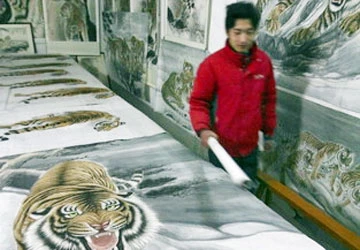 Lễ hội mùa xuân ở Trung Quốc ảnh 1