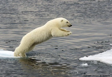 6 hậu quả rõ nhất của biến đổi khí hậu ảnh 2