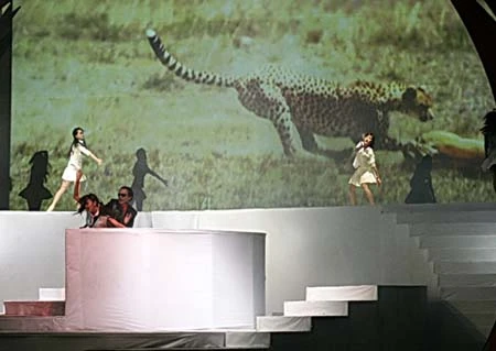 Tình yêu buồn và lãng mạn trong kịch "Xin lỗi, em chỉ là..." ảnh 2