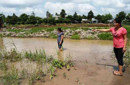 Những "tử thần" cướp mạng hàng loạt trẻ em ảnh 3 Những "tử thần" cướp mạng hàng loạt trẻ em ảnh 3