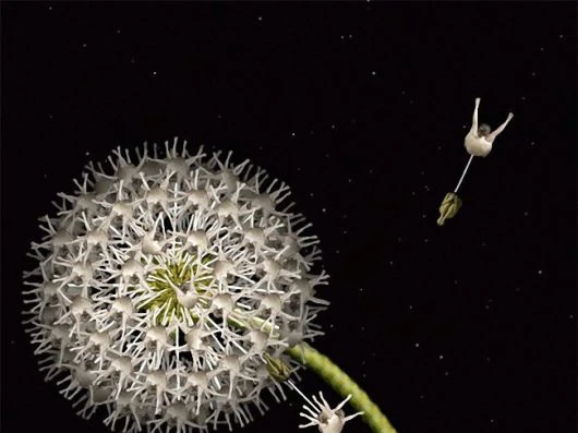 Hoa ghép từ cơ thể của những cô gái khỏa thân ảnh 1