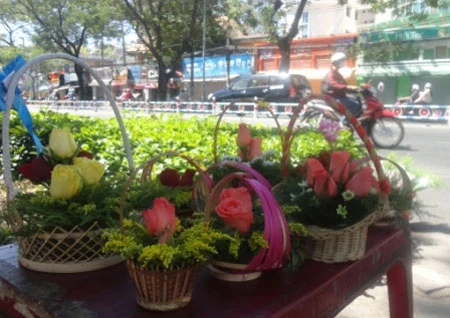 Hoa, quà Valentine ế ẩm ảnh 4 Hoa, quà Valentine ế ẩm ảnh 4