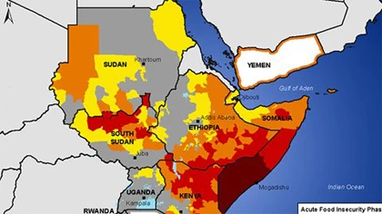 Năm 2011 có quá nhiều cái chết oan uổng ảnh 8 Năm 2011 có quá nhiều cái chết oan uổng ảnh 8