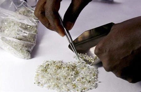 Cấm "kim cương máu" ảnh 1