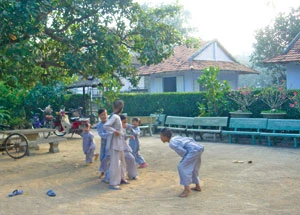 200 ngôi chùa trên một con đường ảnh 3