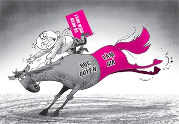 Kiểm soát độc quyền còn quá sơ sài! ảnh 1