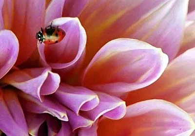 Thử nghiệm các góc chụp khác nhau. Ảnh: Newalk1.