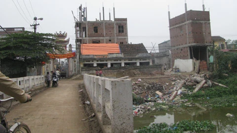 Cả xóm nghèo bàng hoàng ngày trở thành... tỷ phú ảnh 1