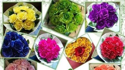 Quà 8/3 online: Độc, rẻ, thiết thực lên ngôi ảnh 2 Quà 8/3 online: Độc, rẻ, thiết thực lên ngôi ảnh 2