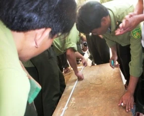 Thu giữ thêm 4 phách gỗ sưa ảnh 1