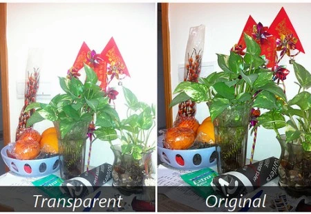 Cận cảnh iPhone 4 có bộ vỏ nhìn "xuyên thấu" ảnh 10 Cận cảnh iPhone 4 có bộ vỏ nhìn "xuyên thấu" ảnh 10