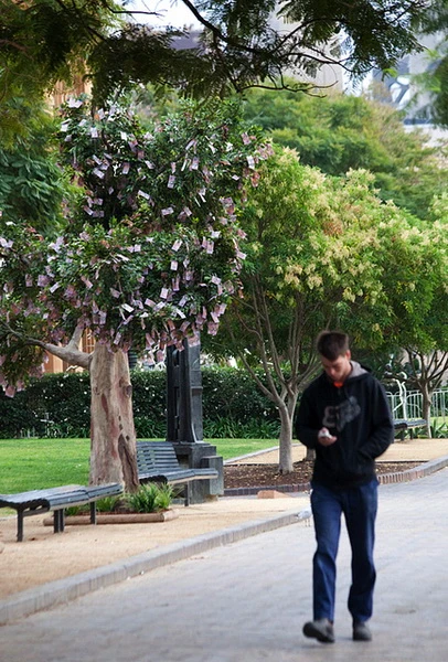 Cây "mọc" ra tiền ảnh 2