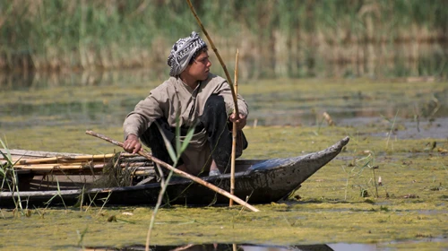 Phim về đời sống hoang dã Iraq đoạt giải thưởng lớn ảnh 1 Phim về đời sống hoang dã Iraq đoạt giải thưởng lớn ảnh 1