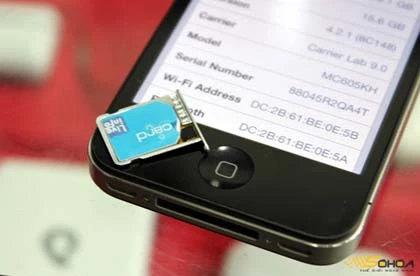 SIM ghép gọi điện cho iPhone 4 bị chê đắt ảnh 1
