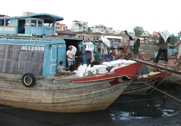 80% tàu thuyền tại TP.HCM phải nằm bờ ảnh 1 80% tàu thuyền tại TP.HCM phải nằm bờ ảnh 1