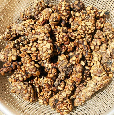 Cận cảnh chồn thải ra cà phê 20 triệu/kg ảnh 5