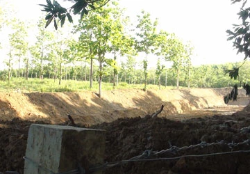 Đất rừng rơi vào tay cán bộ, kiểm lâm, công an… ảnh 1