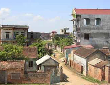 Sư giả tung hoành khắp nơi ảnh 2