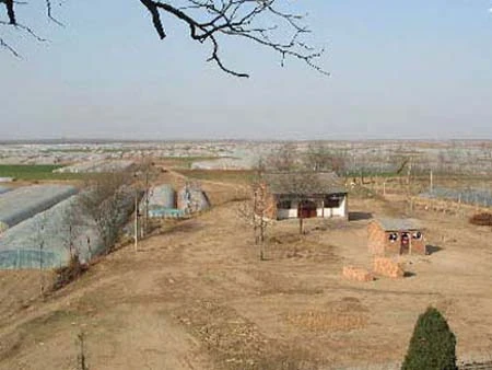 Tào Tháo bị cắt đầu sau khi chôn! ảnh 1