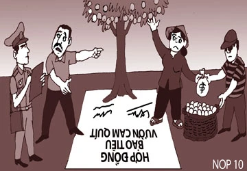 Trộm trái cây bị khởi tố tội cưỡng đoạt ảnh 1