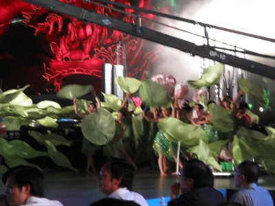 Cận cảnh đêm chung kết cuộc thi Hoa hậu Việt Nam 2010 ảnh 1