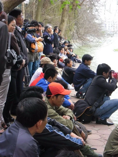 Trực tiếp quây bắt Rùa hồ Gươm: Cụ đã vào "lồng" ảnh 9 Trực tiếp quây bắt Rùa hồ Gươm: Cụ đã vào "lồng" ảnh 9