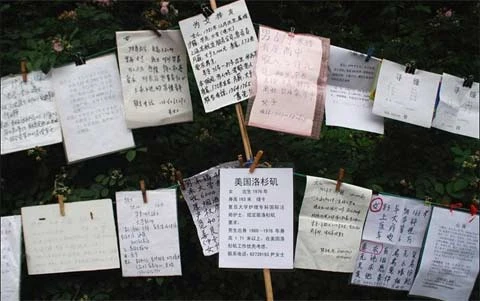 Cưới giả - nghịch cảnh của bóng kín ảnh 2