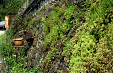 Tam Đảo hớp hồn du khách dịp nghỉ Lễ ảnh 12