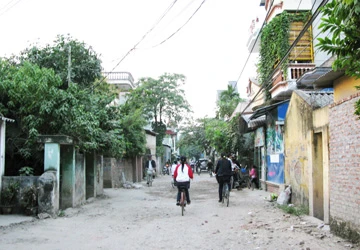 Hải Phòng: Đua nhau “bức tử” đê sông ảnh 1