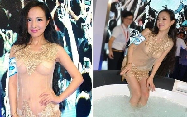 Công ty lăng xê Can Lộ Lộ bị bắt ảnh 2