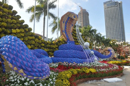 Xem rắn hoa “khủng” nhả ngọc bên bờ Hàn Giang ảnh 7