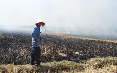 Nhớ quê trong khói đốt đồng ảnh 3