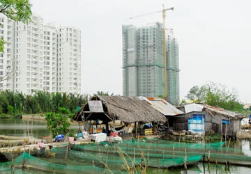 Có nên thu hồi đất cho dự án kinh tế? ảnh 2