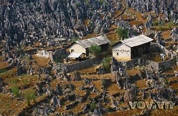 Lên cao nguyên đá Đồng Văn ảnh 15