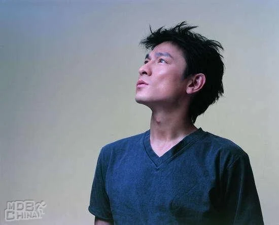 Lưu Đức Hoa - người đàn ông hấp dẫn ảnh 3