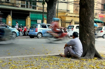 Hà Nội mùa lá bay ảnh 4